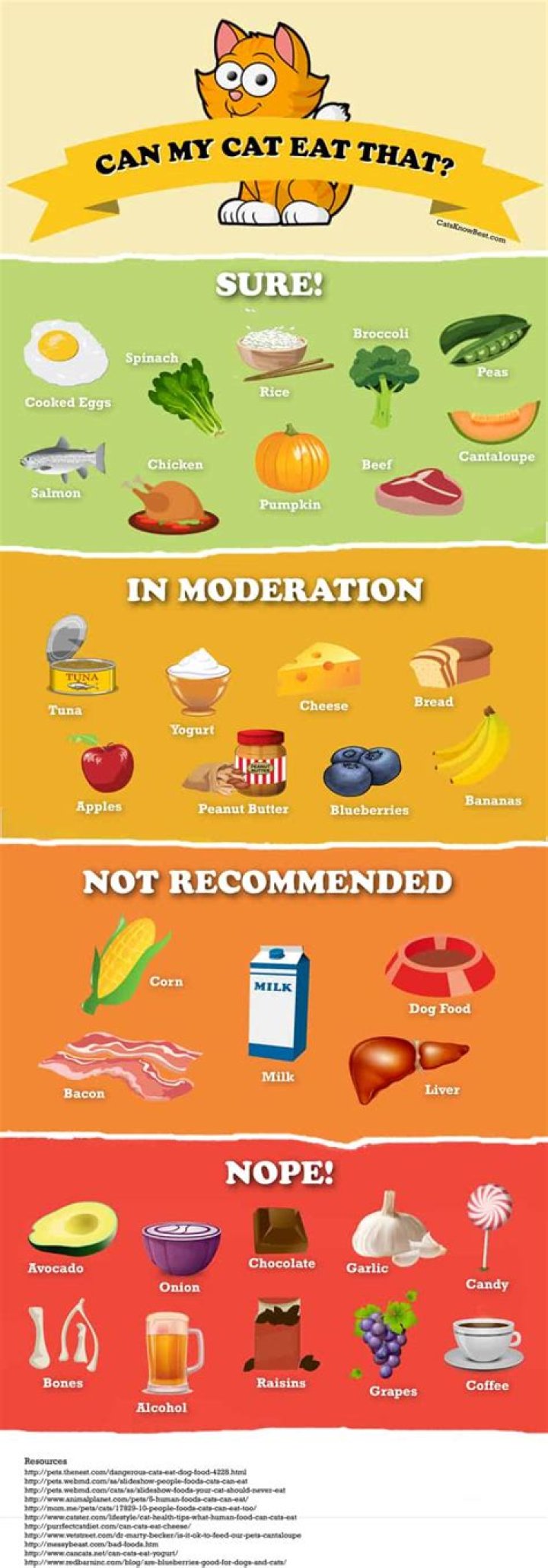 What foods can cats not eat?