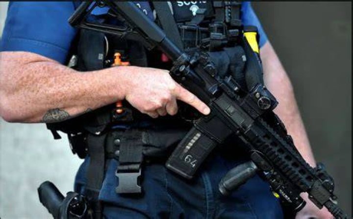 What guns to UK police use?