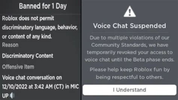 What happens if you are banned from Facebook?