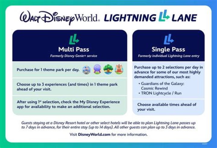 What happens if you lose your Disney pass?