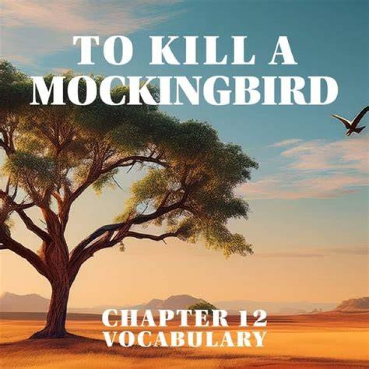 What happens in To Kill a Mockingbird Chapter 12?