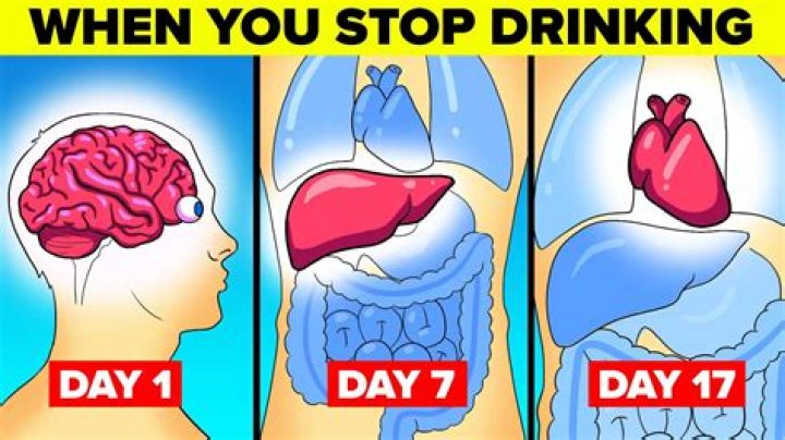 What happens to body when stop drinking?