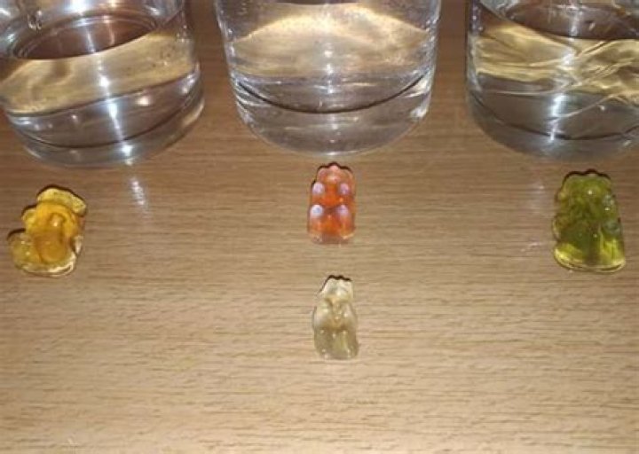 What happens to gummy bears in water?