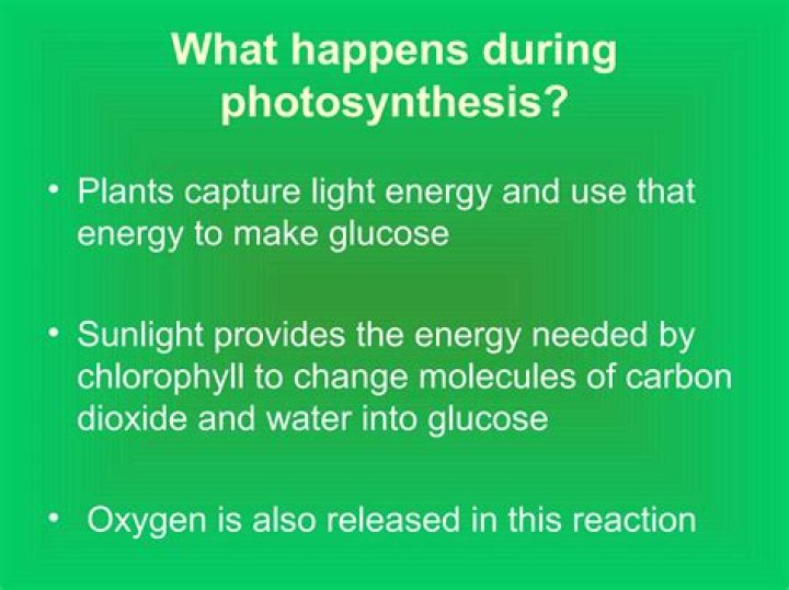 What happens to oxygen during photosynthesis?