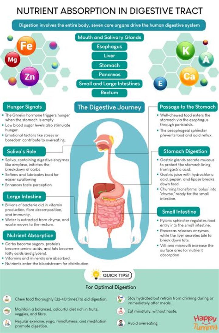 What happens when your large intestine does not absorb enough water?
