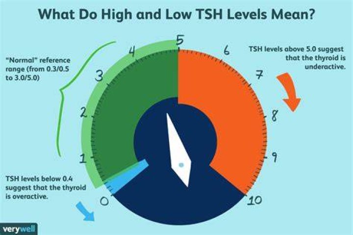 What happens when your TSH is low?