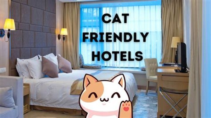What hotel chains are cat friendly?