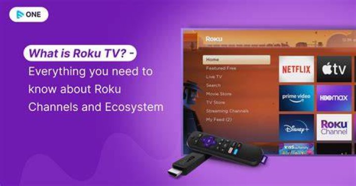 What information does Roku collect?