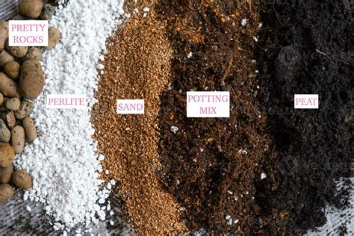 What is 3 way soil mix?
