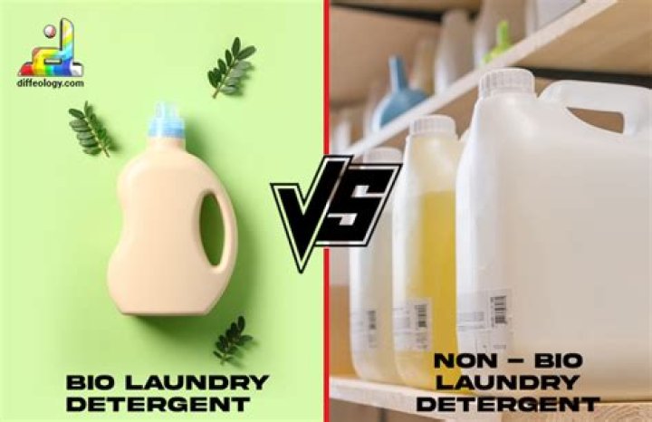 What is a biological detergent?