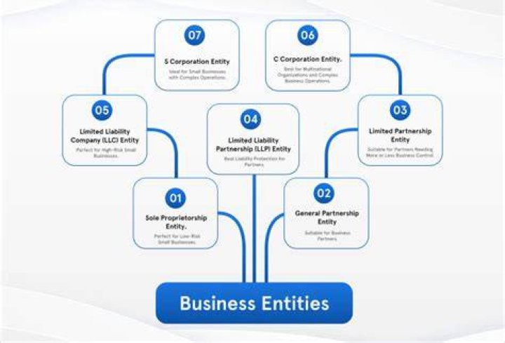 What is a business entity principle?