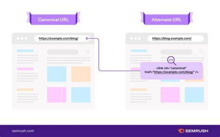 What is a canonical domain?