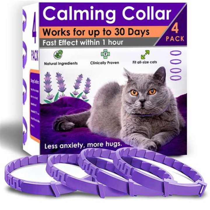 What is a cat calming collar?