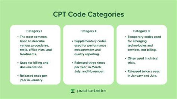 What is a Category 3 CPT code?