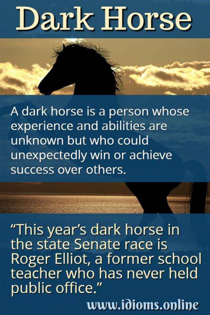 What is a dark horse in politics?