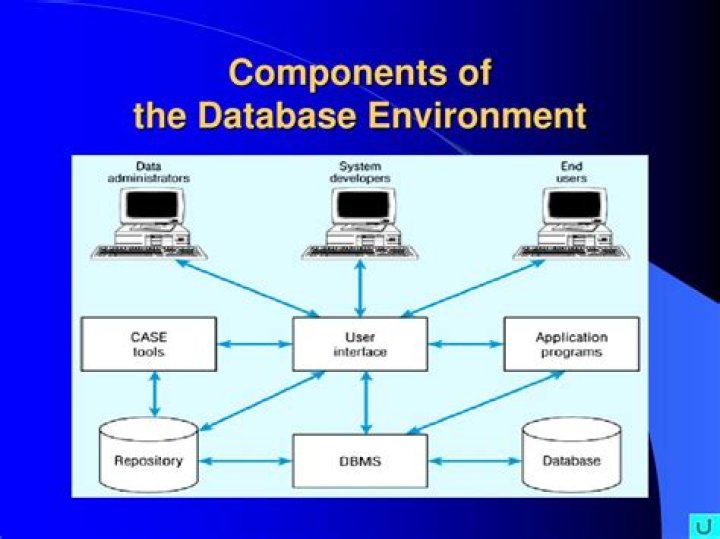 What is a database environment?