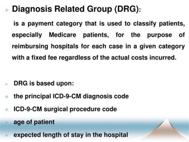 What is a diagnosis related group payment system?