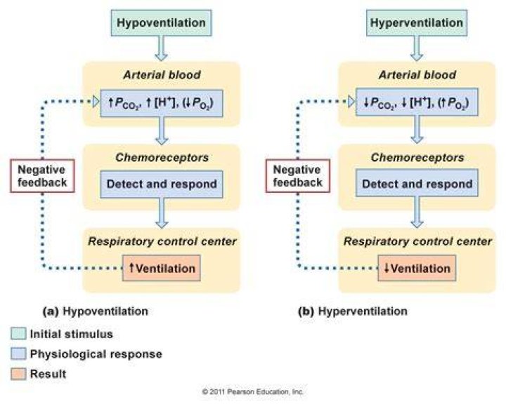 What is a direct result of hypoventilation?