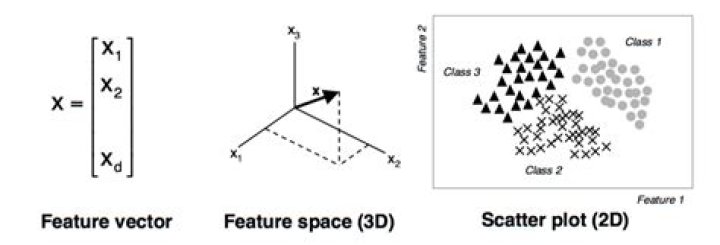 What is a feature vector in machine learning?