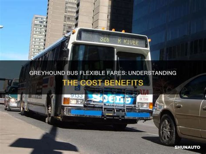 What is a flexible fare on Greyhound?