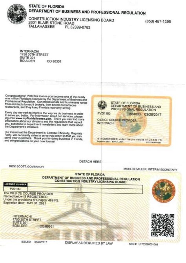 What is a Florida professional or occupational license?