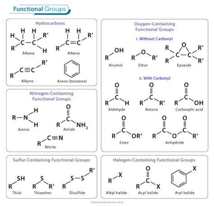 What is a functional group quizlet?