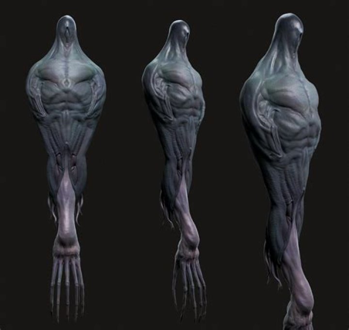 What is a Heptapod?