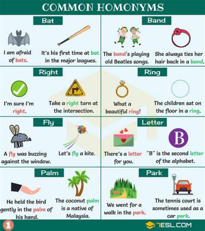 What is a homonym for Choose?