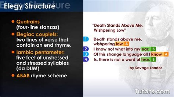 What is a main difference between an ode and an elegy?