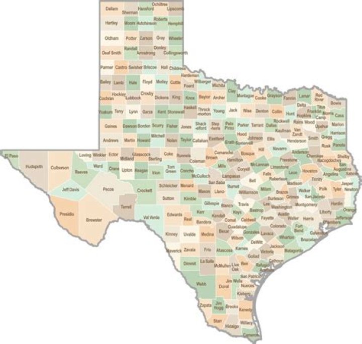 What is a municipality in Texas?