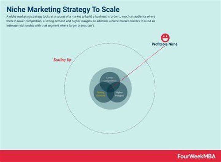 What is a niche marketing strategy?