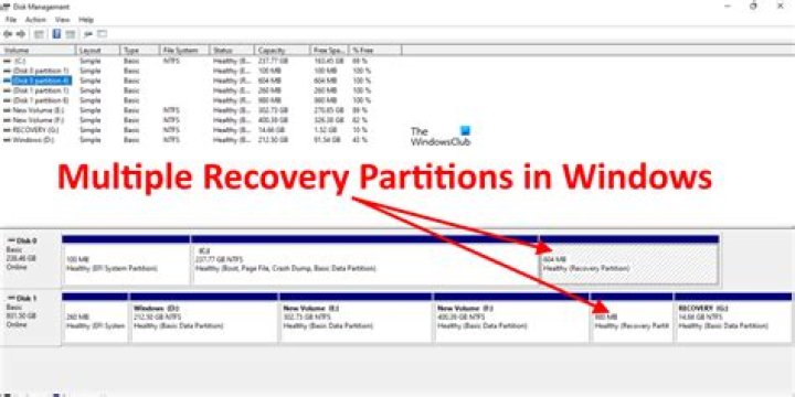 What is a partition manager?