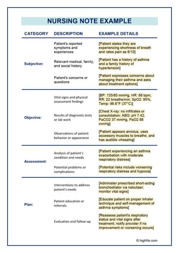 What is a patient summary?