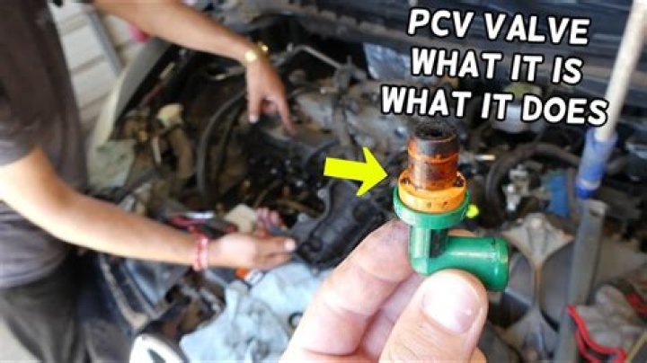 What is a PCV hose?