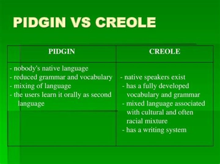 What is a pidgin and Creole?