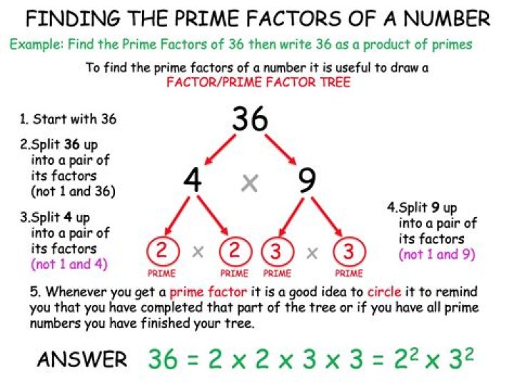What is a prime factor tree?