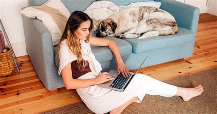 What is a rehoming fee for?