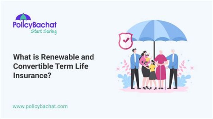 What is a renewable and convertible term life insurance policy?