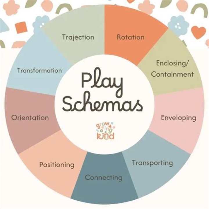 What is a schema child development?