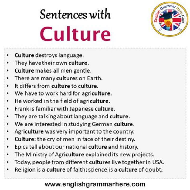 What is a sentence for culture?