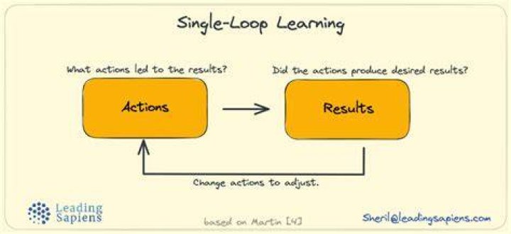 What is a single loop learning?