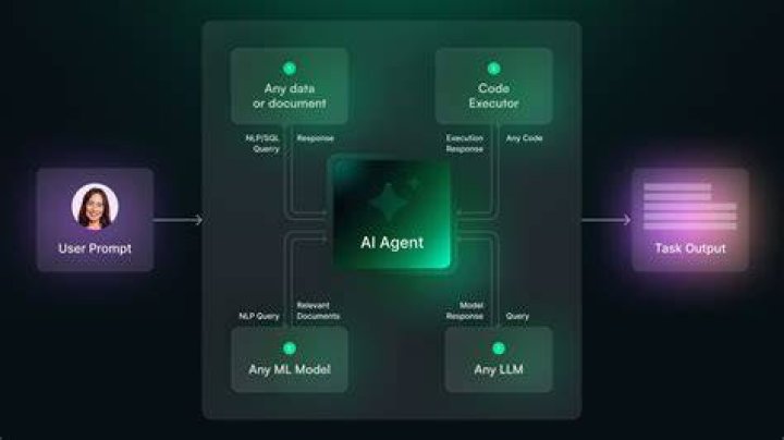What is a social agent?