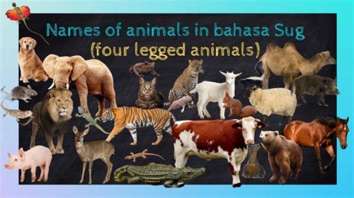 What is a three legged animal called?