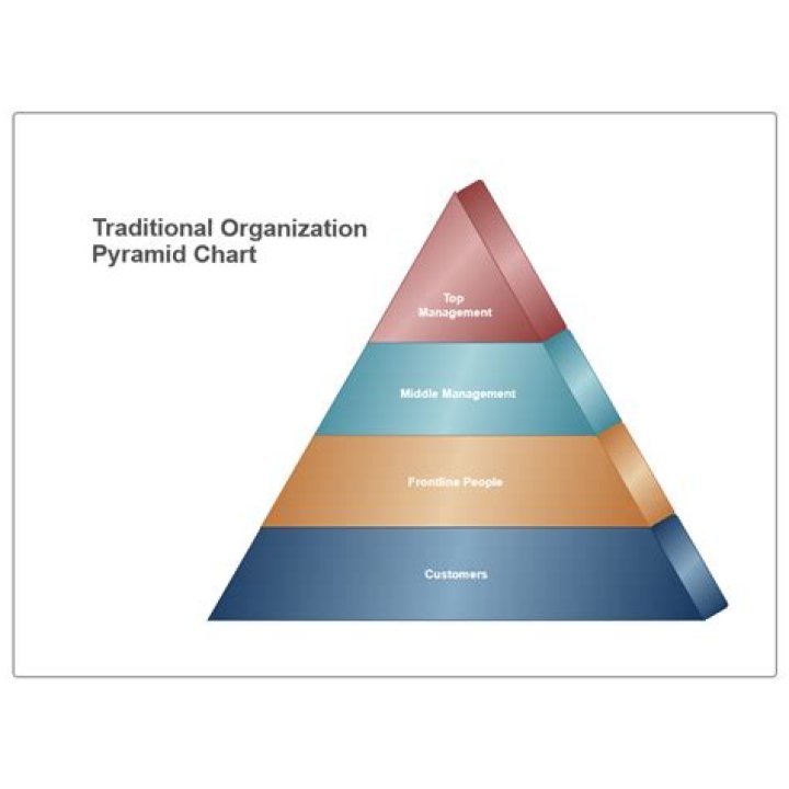 What is a traditional organization?
