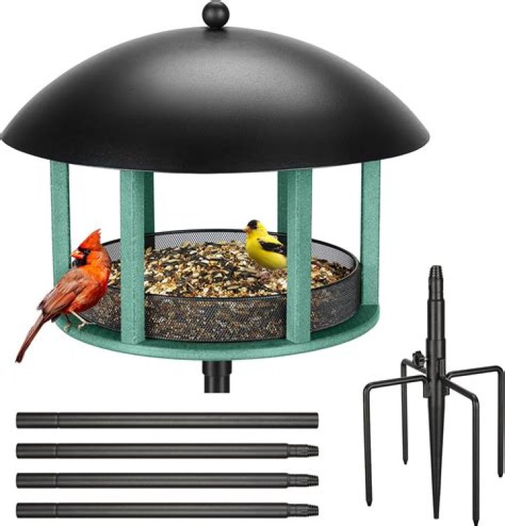 What is a tray feeder?