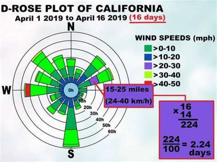 What is a wind rose diagram?