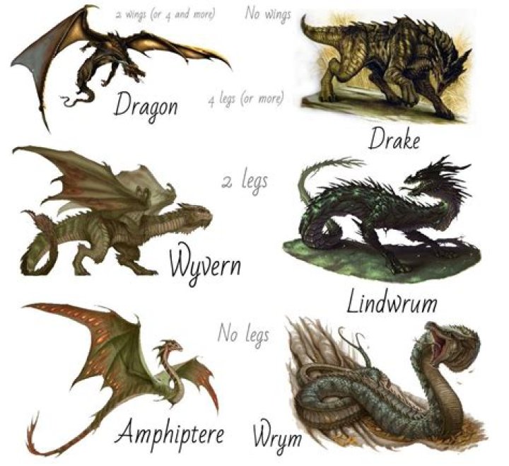 What is a wingless dragon called?