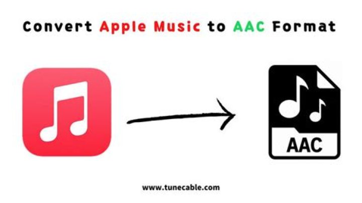 What is AAC format in iTunes?
