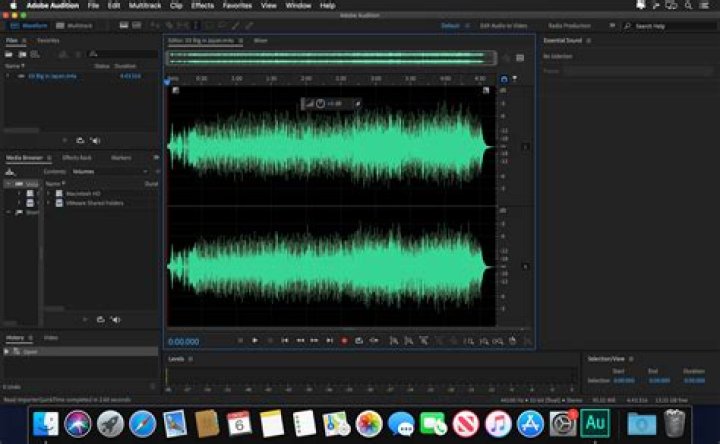 What is Adobe Audition good for?