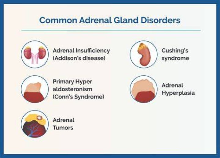 What is adrenal Hyperfunction?